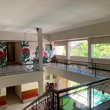 Kuta Suci Guesthouse المظهر الخارجي الصورة